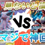 ポケモンカードゲームノラゾロ最強デッキ決定戦　１回戦第３試合　エフィデオVSルガルガン