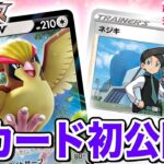 【初公開】ネジキがポケカに登場！？強力な特性を持つピジョットVも！【ロストアビス/ポケモンカード】