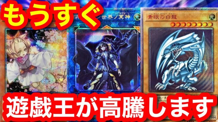 今買っておくべき遊戯王カードはコレ！！【遊戯王、レアコレ、レアリティコレクション、プレミアムパック2023、高騰、シークレットユーティリティボックス、ポケモンカード、最新情報】