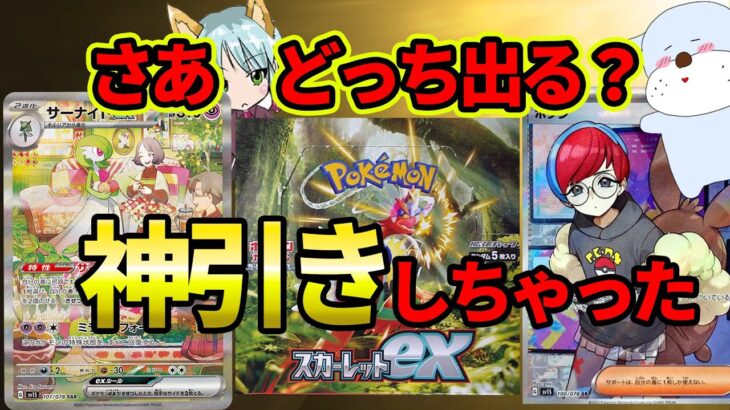 【ポケカ】SAR大量収録！新弾『スカーレットex』を開封して神引きしていくぞぉおおおお！【開封動画】