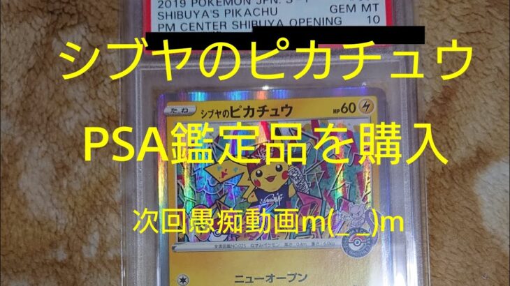 新弾のポケカほぼ落選したので余ったお金でシブヤのピカチュウ購入【ポケモンカードゲーム】【ナンジャモジムセット】【クレイバースト】【スノーハザード】