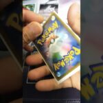 ほどほどオリパ【遊楽舎】#ポケモンカード #オリパ開封