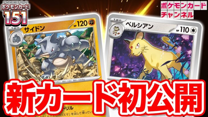 【本日初公開】サカキのカリスマと一緒に使いたい！サイドン、ペルシアンを公開！【ポケモンカード151/ポケカ】