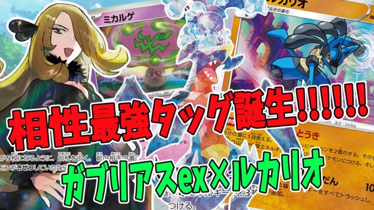 【ポケカ対戦】最高の相棒たち！ ガブリアスex＆ルカリオデッキ！ VSダークライ＆ヘルガーデッキ 【#Pokemon​】【#ポケモンカード】【#レイジングサーフ】【#テラスタル】