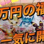 【ポケカ福袋】15万円ブイズ限定福袋‼︎ 中身が….. 全てはこの動画に‼︎【開封動画】