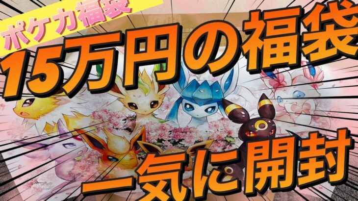 【ポケカ福袋】15万円ブイズ限定福袋‼︎ 中身が….. 全てはこの動画に‼︎【開封動画】