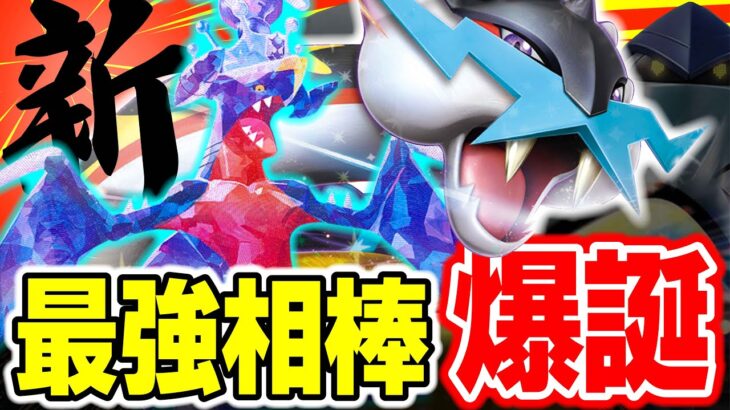 【ポケカ対戦】｢タケルライコex｣と｢？？？｣が新相棒！！Hレギュ環境で水ガブリアスexがヤバイことになりそうです！【ポケカSTARS/ポケカスターズ】