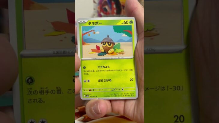 ポケモンカードパック開封 254    サイバージャッジ　29