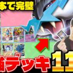 【ポケカ/解説】環境デッキ11選‼ タケルライコexの躍進でドラパルトexはどうなる？