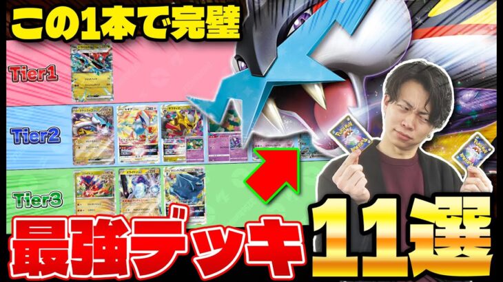 【ポケカ/解説】環境デッキ11選‼ タケルライコexの躍進でドラパルトexはどうなる？