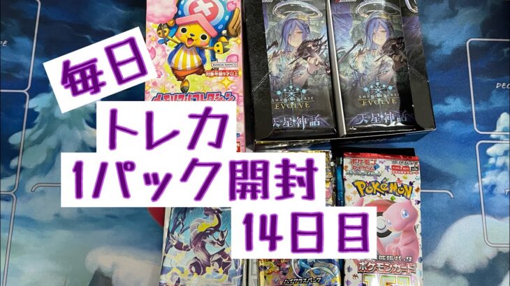 【毎日開封】トレカ毎日1パック開封〜14日目〜ポケモンカードゲーム　Vスターユニバース