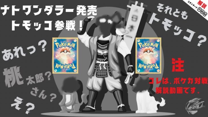 ポケモンカードゲーム（ポケカ）対戦動画【解説】モモワロウexVSローブシン