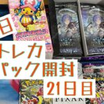 【毎日開封】トレカ毎日1パック開封〜21日目〜シャドウバースエボルヴ　天星神話