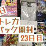 【毎日開封】トレカ毎日1パック開封〜23日目〜シャドウバースエボルヴ　天星神話