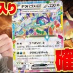 【ポケカ/対戦】環境デッキ確定‼︎テラパゴスexが楽し過ぎる (Terapagos/pokeca/pokeka)