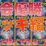 【ポケカ】最新優勝デッキ20選　2024/8/14 21時 更新