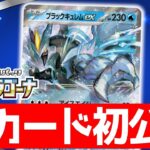 【初公開】ドラゴンポケモンに超有利！？ブラックキュレムexが登場！【楽園ドラゴーナ/ポケモンカード】