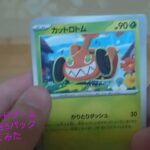 ポケモンカードゲーム拡張パックを5パック開封してみた！