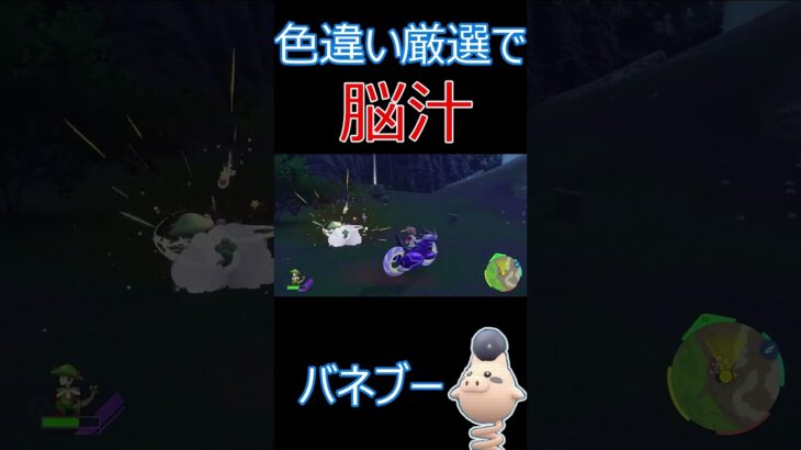 ショート動画でも脳汁！色違い厳選「バネブー編」  #ポケモンゲーム #ポケモンsv #ポケモン #色違いポケモン #バネブー #バネブー色違い　#pokemon #shinypokemon